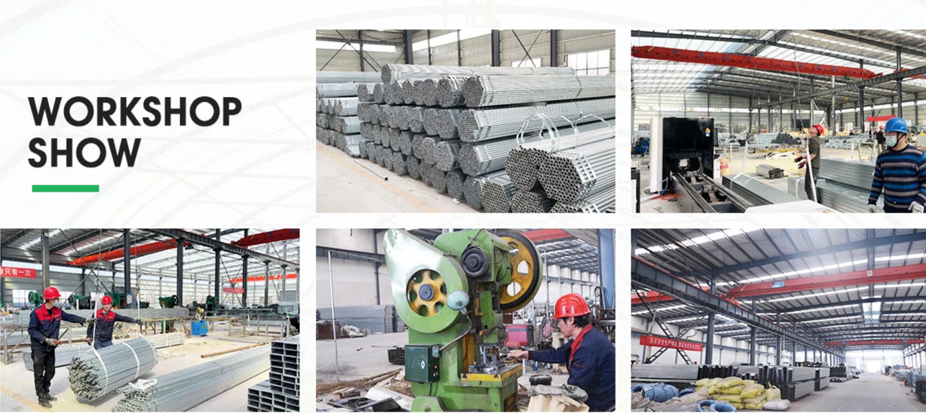 Shandong Lisent Agricultural Technology Co., Ltd. linea di produzione del fabbricante